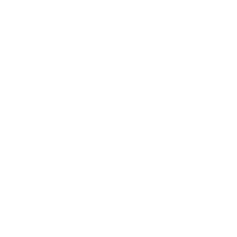 抖音图标
